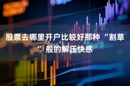 股票去哪里开户比较好那种 “割草” 般的解压快感