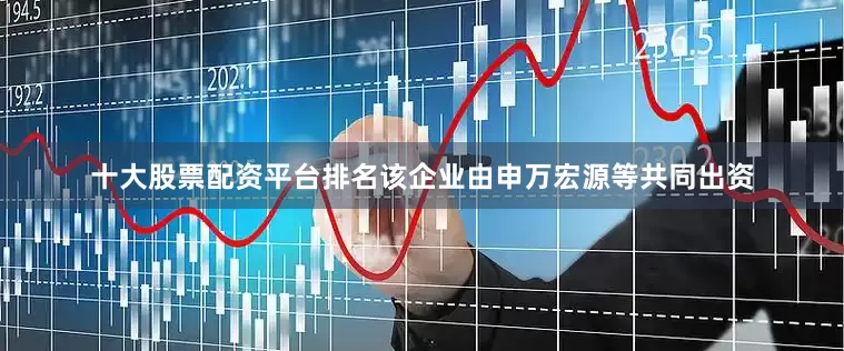 十大股票配资平台排名该企业由申万宏源等共同出资