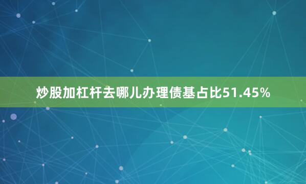 炒股加杠杆去哪儿办理债基占比51.45%