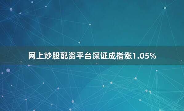 网上炒股配资平台深证成指涨1.05%